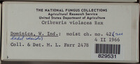 Image Associated With the Occurence